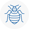 Bed Bug Extermination In Beccles