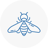 Bee Nest Removal Beccles