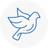 Bird Prevention Beccles