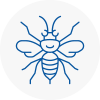 Beccles Hornet Nest Removals