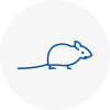 Mice Exterminators In Beccles