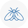 Moth Control Specialists In Beccles