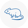 Rat Control Beccles