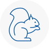 Beccles Rodent Removals